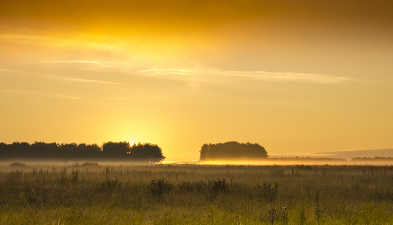 В ожидании утреннего прохождения
