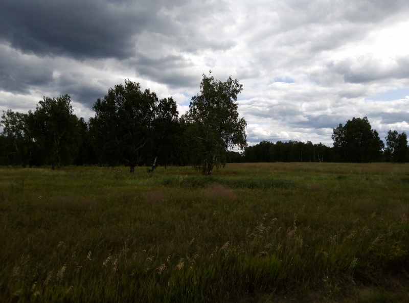 IMG_20190810_130455