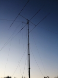 IMG-20210820-WA0002