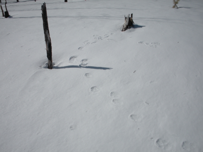 Экспедиция RP70SU