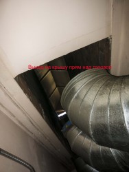 IMG_3270.jpg