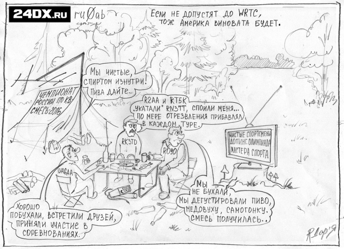 steb81.jpg