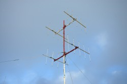 DSC_1254.JPG