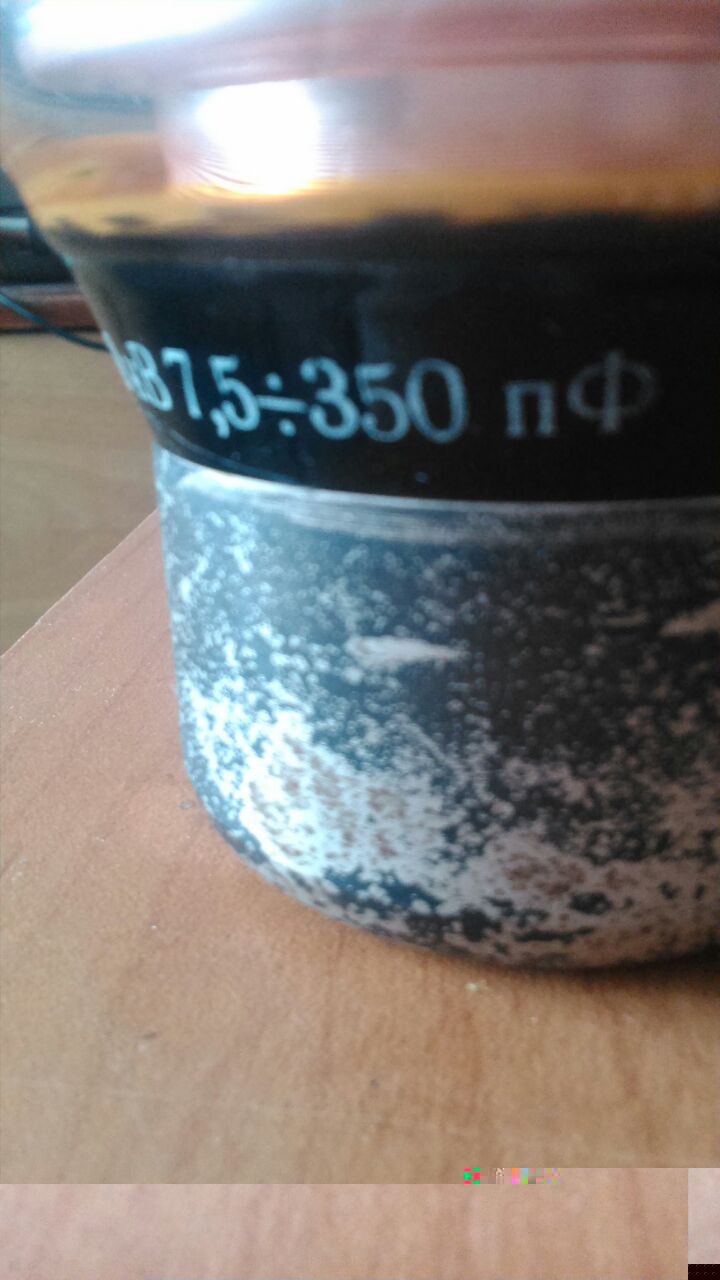 555.jpg