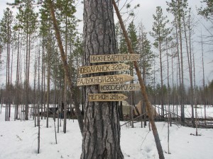 IMG_0902