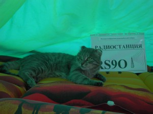 DSCN3223